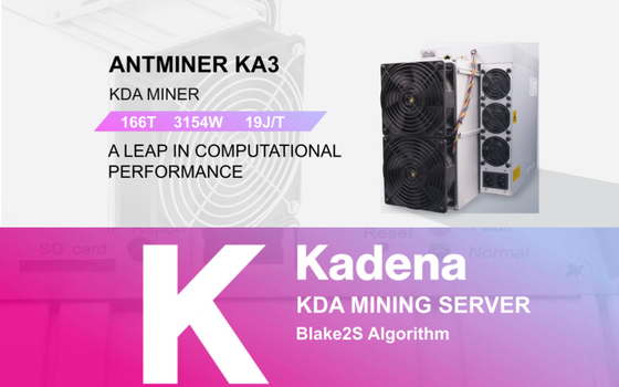 Crypto mineur Value Mining Machine d'Asic de pièce de monnaie de Bitmain Ant Miner KDA Antminer KA3 166Th Kadena
