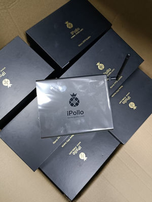 240W Faible Puissance IPollo V1 Mini ETH Miner Hashrate 300Mh ETC Asic Miner