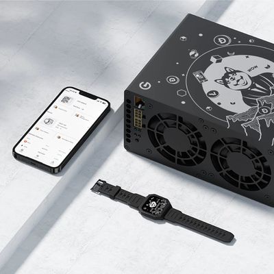 Goldshell Mini-DOGE III 650Mh/S Nouveau mineur de cryptographie Scrypt Algoritme LTC Doge Asic mineur
